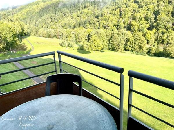 Dpt Haut-Rhin (68), à vendre AMMERSCHWIHR appartement T2