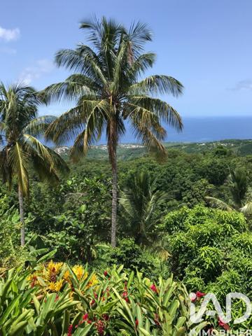 Maison à vendre 7 pièces 188 m² Vieux-Habitants