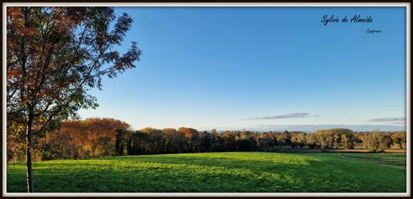 Propriété à vendre PONT DE VEYLE (01) 16,5 Hec,vue,maison 145 m²,ferme à rénover 170 m²,pigeonnier,hangar,équestre