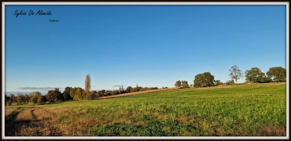 Propriété à vendre PONT DE VEYLE (01) 16,5 Hec,vue,maison 145 m²,ferme à rénover 170 m²,pigeonnier,hangar,équestre