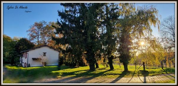 Propriété à vendre PONT DE VEYLE (01) 16,5 Hec,vue,maison 145 m²,ferme à rénover 170 m²,pigeonnier,hangar,équestre