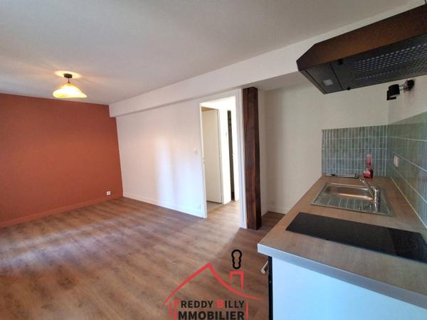 Appartement T3 rénové - Centre ville