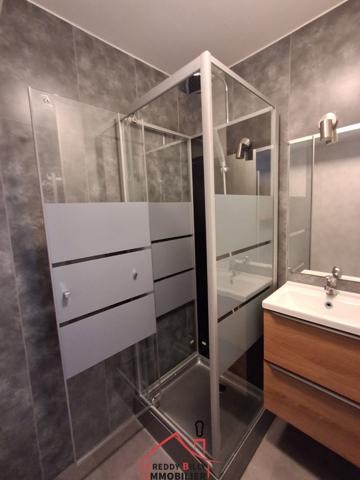 Appartement T3 rénové - Centre ville