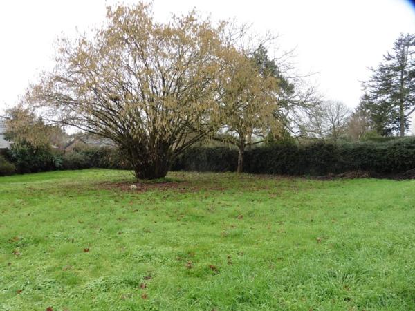 RIAILLE, en son bourg, proche écoles, commerces, maison de caractère en pierres et son terrain clos.