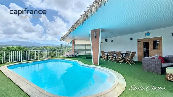 Propriete à vendre 28 pièces PETIT BOURG (971)