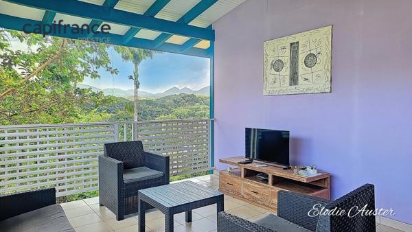 Propriete à vendre 28 pièces PETIT BOURG (971)