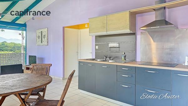 Propriete à vendre 28 pièces PETIT BOURG (971)