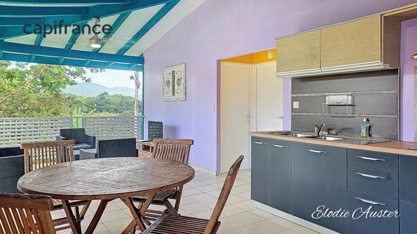 Propriete à vendre 28 pièces PETIT BOURG (971)