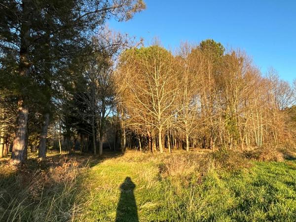 Terrain  1525 m2 libre constructeur  Mios