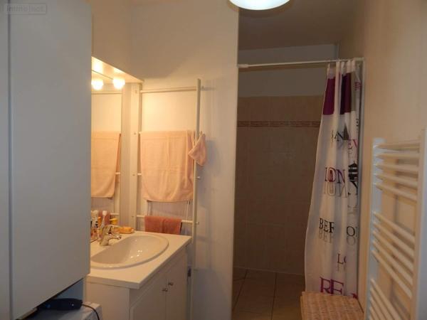 Appartement à vendre à Amboise dans l'Indre-et-Loire (37400), ref : 021/AP0101