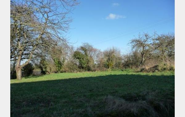 Vente Maison Ref.7744 à rénover à rénover Saint-germain-de-coulamer   