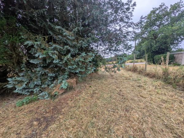 PLOUAY EN CAMPAGNE ENSEMBLE IMMOBILIER COMPOSÉ D' UNE MAISON DE 45M² HABITABLE, UNE GRANGE DE 33 M², UN BÂTIMENT EN PIERRE DE 91 M² UNE PARCELLE DE 711m² ENVRION.