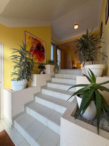 Maison bourgeoise, 7 chambres, piscine et parc arboré