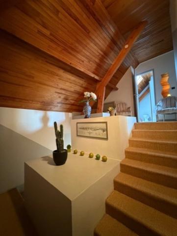 Maison bourgeoise, 7 chambres, piscine et parc arboré