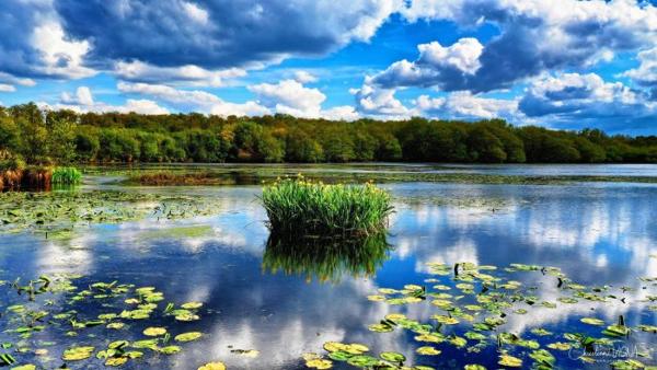 Maison plain-pied Léon 195 m²