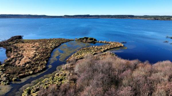 Maison plain-pied Léon 195 m²