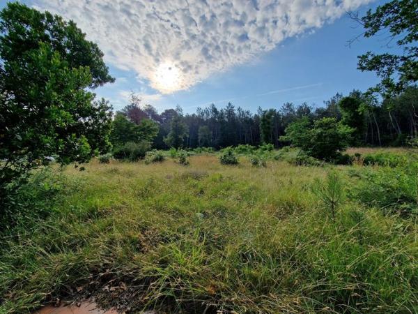 Maison plain-pied Léon 195 m²