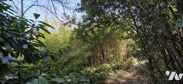 CANDÉ - TERRAIN A BATIR DE 1 636 m²  - PUITS