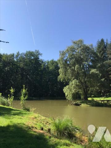Magnifique Maison de caractère sur 6 hectares de terrain avec un étang et de la forêt.