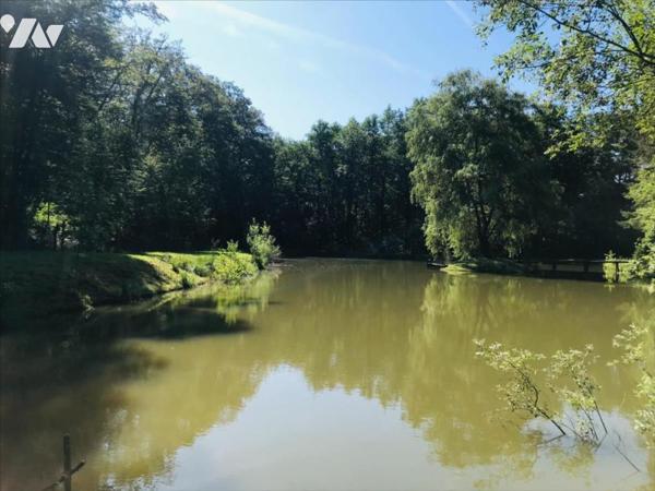 Magnifique Maison de caractère sur 6 hectares de terrain avec un étang et de la forêt.