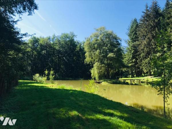 Magnifique Maison de caractère sur 6 hectares de terrain avec un étang et de la forêt.
