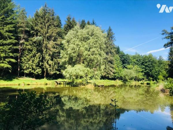 Magnifique Maison de caractère sur 6 hectares de terrain avec un étang et de la forêt.