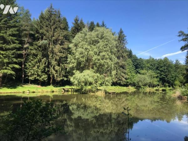 Magnifique Maison de caractère sur 6 hectares de terrain avec un étang et de la forêt.