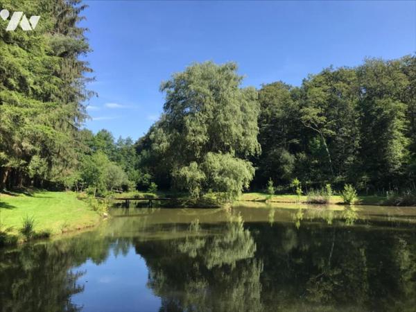 Magnifique Maison de caractère sur 6 hectares de terrain avec un étang et de la forêt.