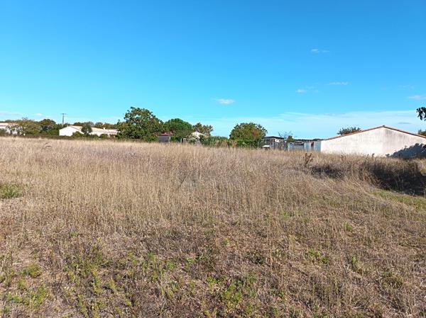 Terrain Bouille Courdault 4734 m2