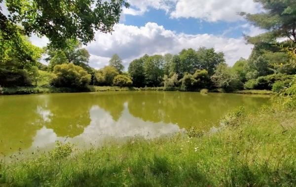 Vente Terrain ref.7196 étang Vimartin-sur-orthe   