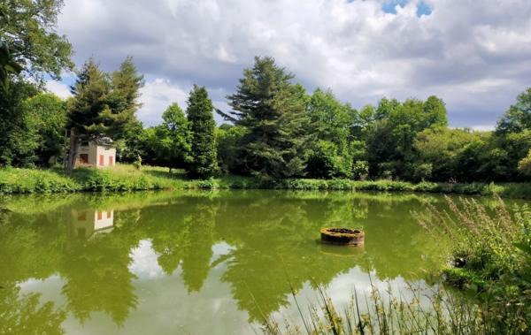 Vente Terrain ref.7196 étang Vimartin-sur-orthe   