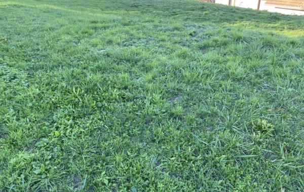 Vente Terrain 644m² à 2 minutes du centre Le pont-de-beauvoisin   