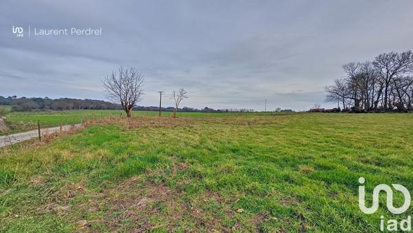 Terrain à vendre 1 616 m² Allaire