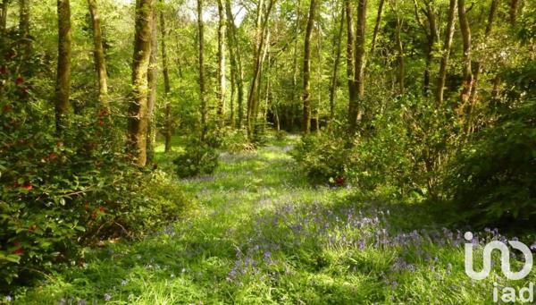 Terrain à vendre 21 810 m² Quimper