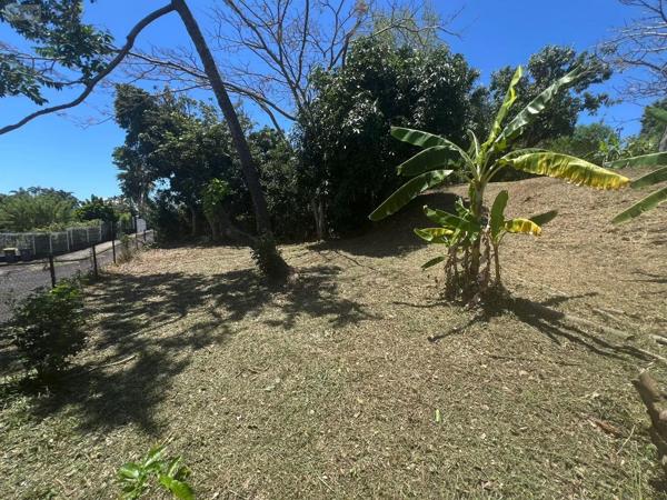 Achat - Terrain à bâtir | Terrain à bâtir Montagne 33570 516 m 2