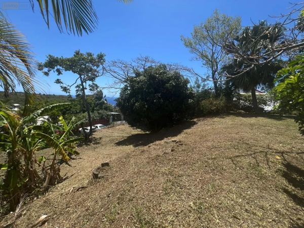 Achat - Terrain à bâtir | Terrain à bâtir Montagne 33570 516 m 2
