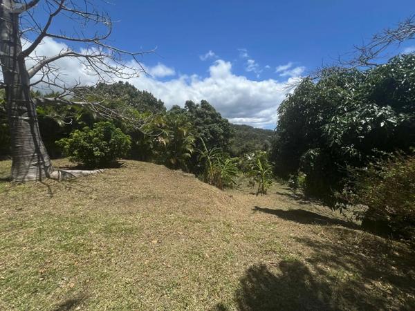 Achat - Terrain à bâtir | Terrain à bâtir Montagne 33570 516 m 2