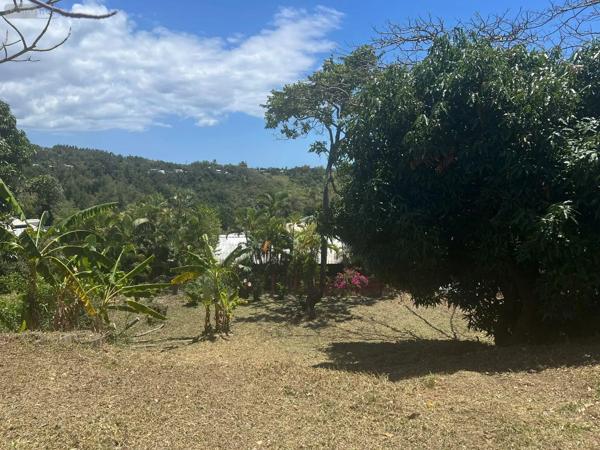 Achat - Terrain à bâtir | Terrain à bâtir Montagne 33570 516 m 2