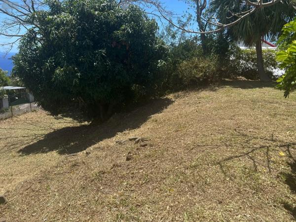 Achat - Terrain à bâtir | Terrain à bâtir Montagne 33570 516 m 2