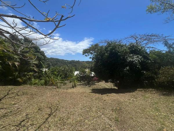 Achat - Terrain à bâtir | Terrain à bâtir Montagne 33570 516 m 2