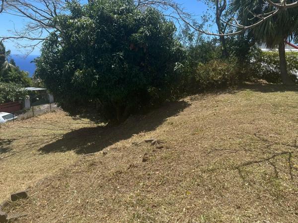 Achat - Terrain à bâtir | Terrain à bâtir Montagne 33570 516 m 2