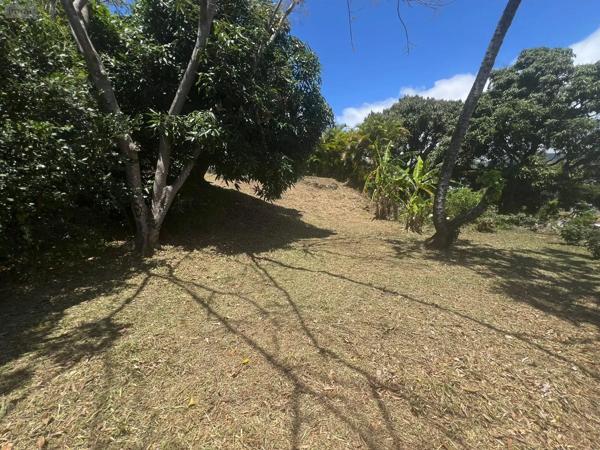 Achat - Terrain à bâtir | Terrain à bâtir Montagne 33570 516 m 2