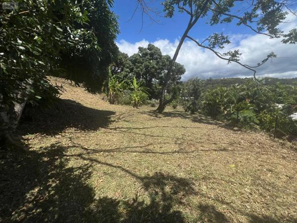 Achat - Terrain à bâtir | Terrain à bâtir Montagne 33570 516 m 2
