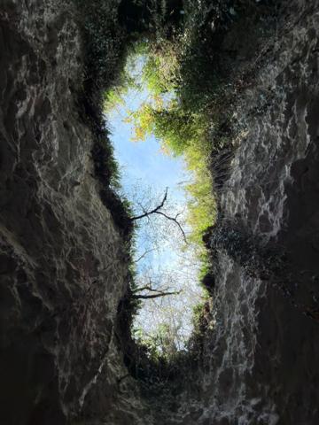 Un lieu rare, entre patrimoine vivant et art de recevoir.