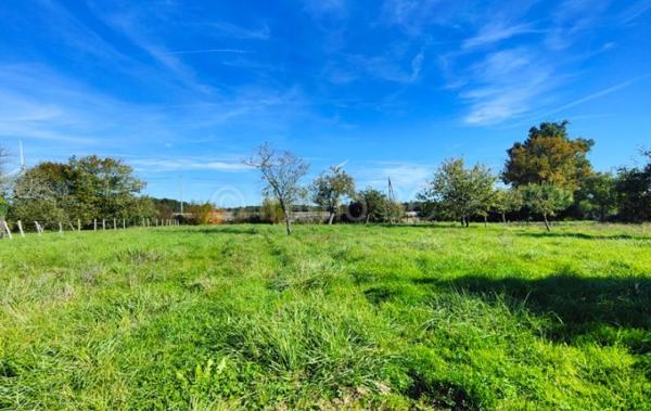 Vente Maison Chaunay   