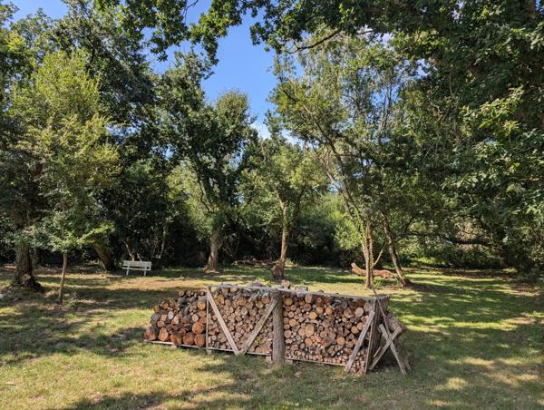 Maison et Bois proche des plages