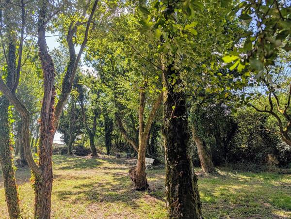 Maison et Bois proche des plages