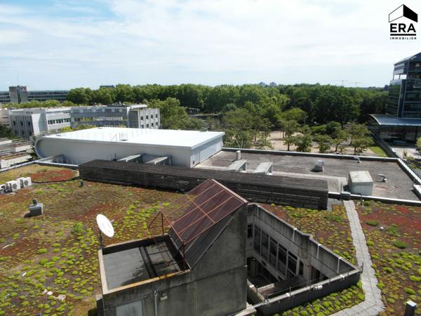 Studio plein centre-ville 