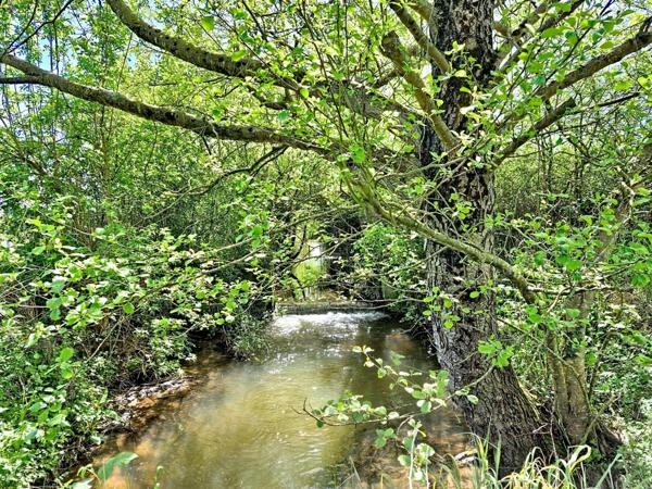 Propriété exceptionnelle, au calme, avec vue sur la campagne