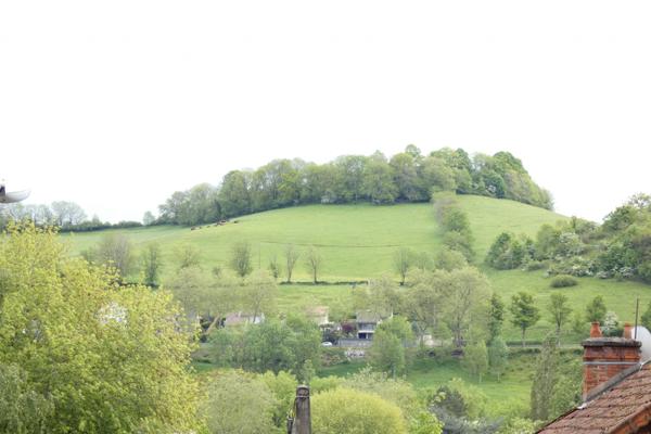 BEAU T2 RENOVE 2 BALCONS Aurillac (15000)